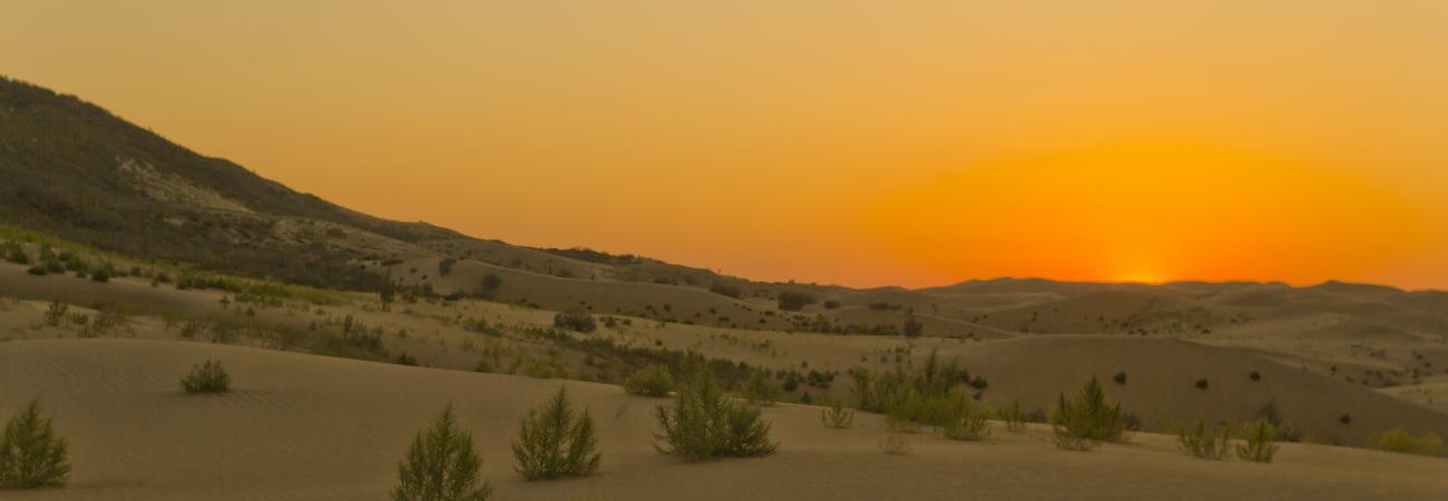Sunset Singing Sands